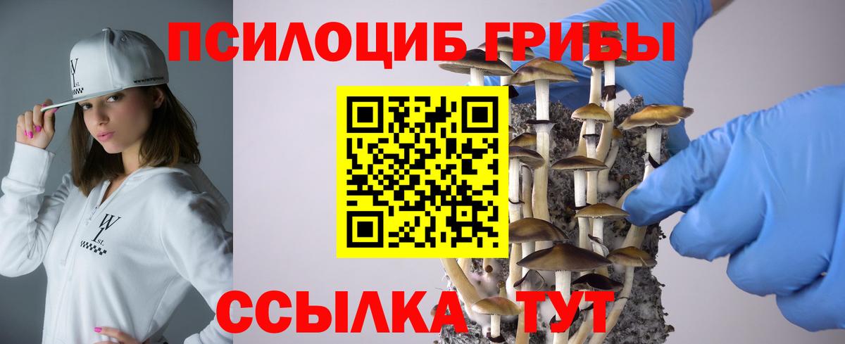 Псилоцибиновые грибы Psilocybe Озёрск
